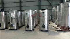  六噸燃油燃?xì)庹羝仩t