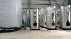  1噸冷凝燃?xì)忮仩t