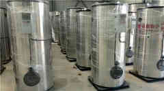  12噸燃油燃?xì)庹羝仩t