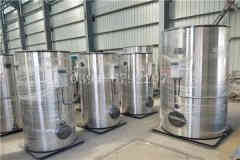  兩噸低氮燃?xì)忮仩t