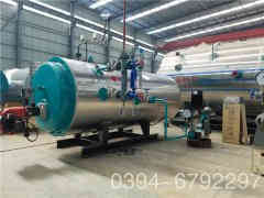  3噸低氮燃?xì)忮仩t