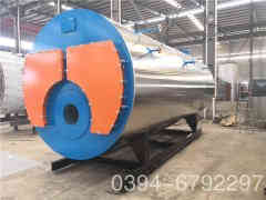  六噸三回程燃?xì)忮仩t