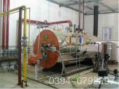  8噸臥式燃?xì)庹羝仩t