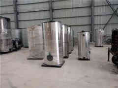  四噸立式燃?xì)庹羝仩t