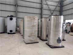  20噸燃油燃?xì)庹羝仩t