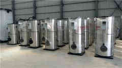  六噸低氮燃氣鍋爐