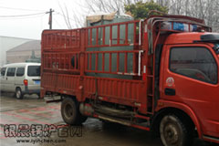 清明放假，貫流鍋爐發(fā)貨