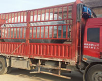 出口澳大利亞燃氣蒸汽鍋爐