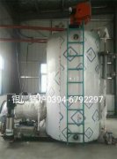 LSS4-1.6-Q型4噸貫流式燃?xì)庹羝仩t安裝現(xiàn)場