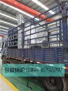 LSS2-1.0-Q型2噸貫流式燃?xì)庹羝仩t發(fā)貨